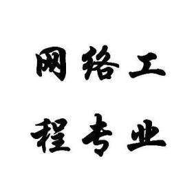 网络工程 构建数字世界的基石
